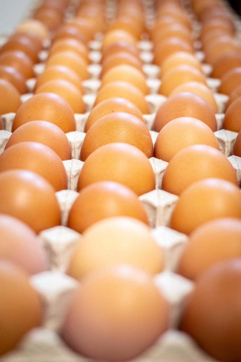 Eggs